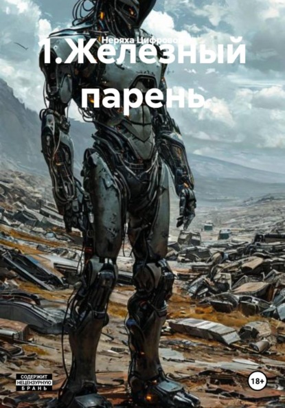 Цифровой Неряха: 1.Железный парень