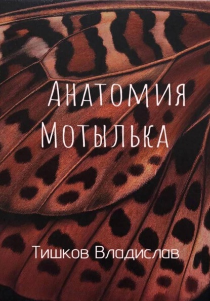 

Анатомия Мотылька
