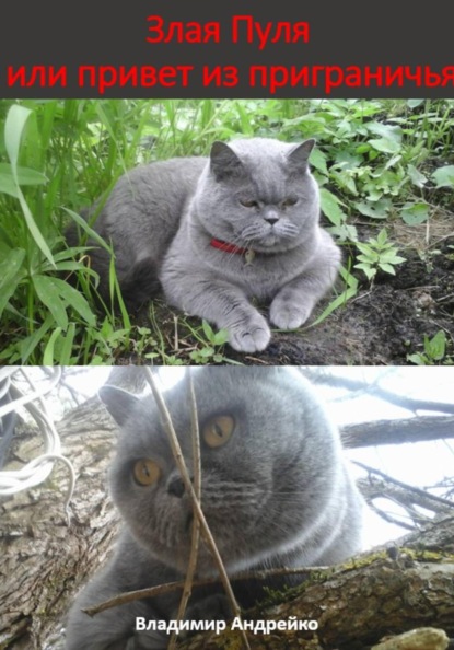 Злая Пуля или привет из приграничья