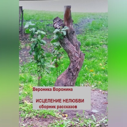 Аудиокнига Вероника Воронина - Исцеление нелюбви. Сборник рассказов