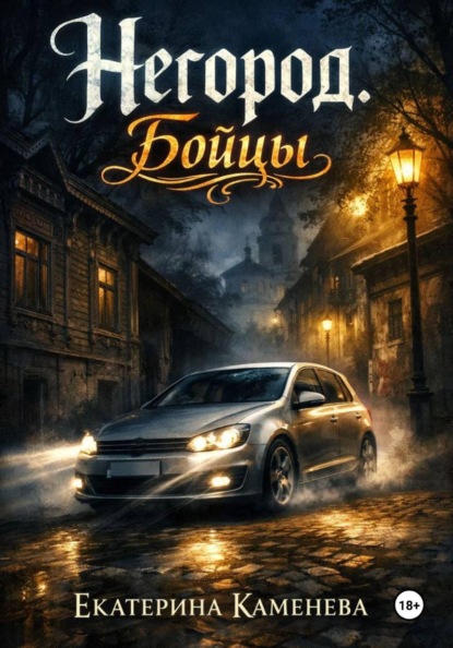 

Негород. Бойцы