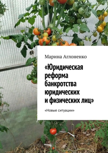 

Юридическая реформа банкротства юридических и физических лиц. Новые ситуации