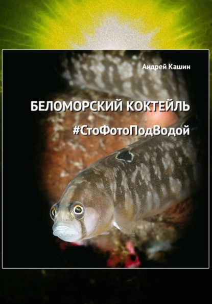 Кашин Андрей: Фотоальбом «Беломорский коктейль #СтоФотоПодВодой»