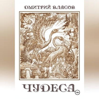 

Чудеса