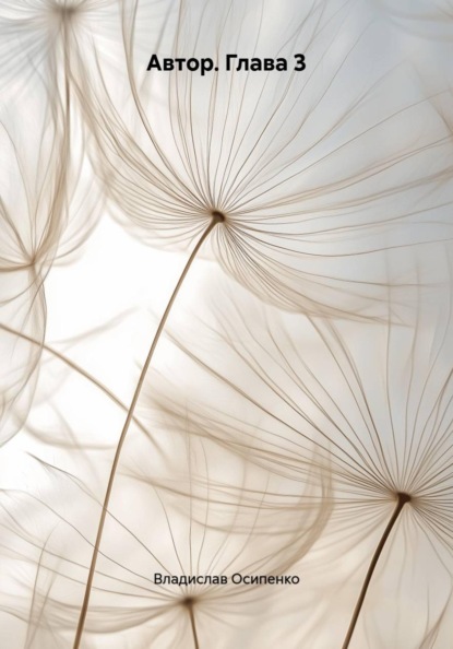 Автор. Глава 3