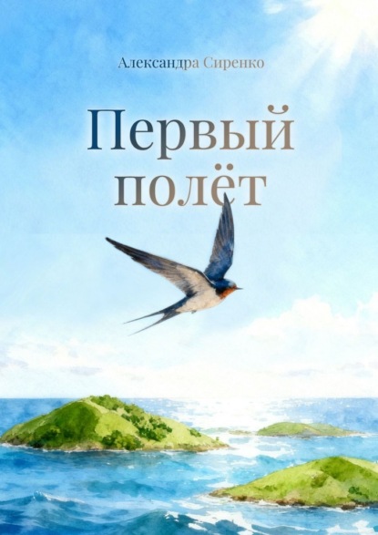 

Первый полёт