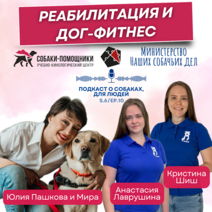 Реабилитация и дог-фитнес