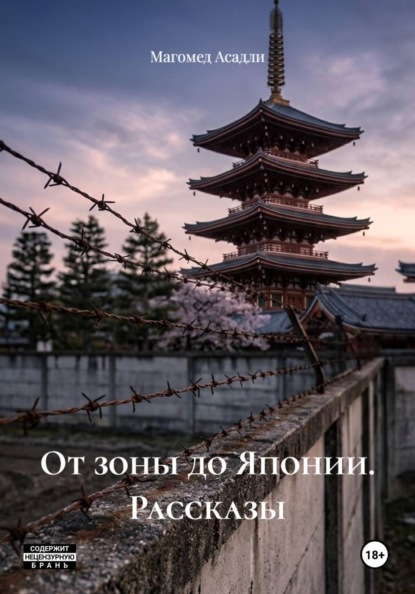 Асадли Магомед: От зоны до Японии. Рассказы