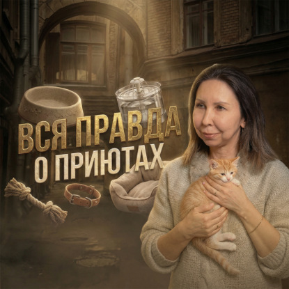 Лёнькин Кот. Экосистема зоозащиты и спасение котиков