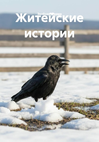 Житейские истории