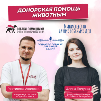 «Одной Крови»: единый портал донорской помощи животным