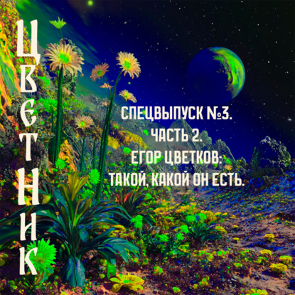 Подкаст ЦветНик - Спецвыпуск №3. Часть 2. Егор Цветков: такой, какой он есть.