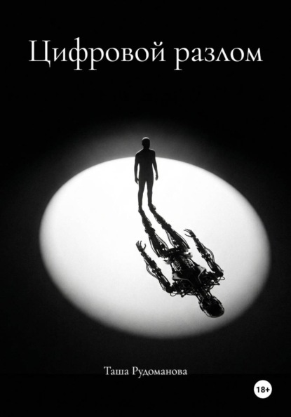 Цифровой разлом