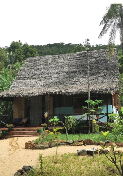 Африканские минорики