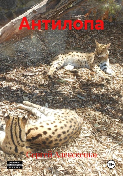 Антилопа