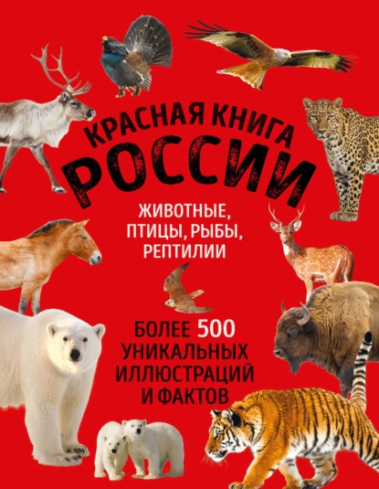 Красная книга России. Животные, птицы, рыбы, рептилии. Более 500 уникальных иллюстраций и фактов