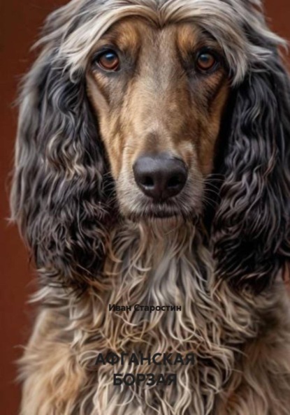 АФГАНСКАЯ БОРЗАЯ