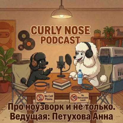 Ноузворк-дебют: всё, что нужно знать о первых соревнованиях
