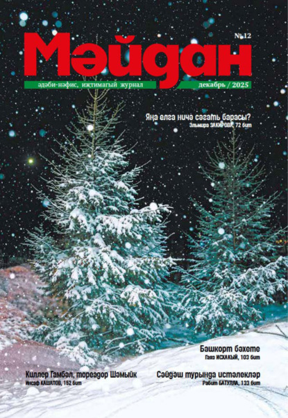 Мәйдан №12/2025