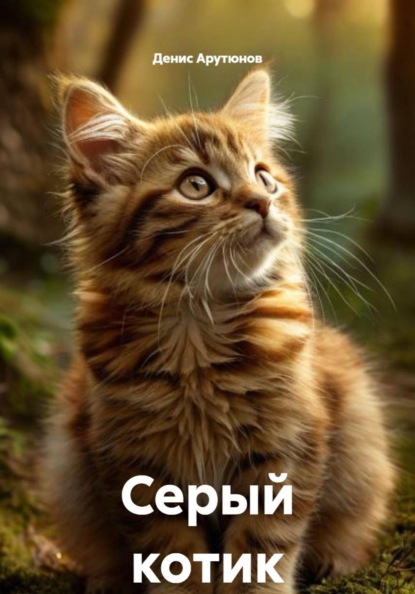 Серый котик
