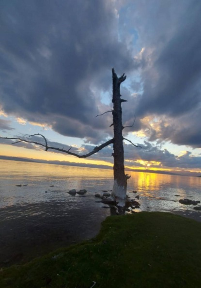 Введение в антивозрастную фармакологию для всех