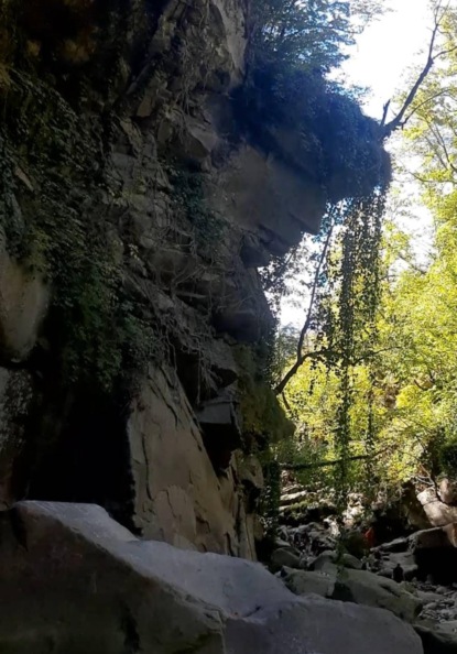 БОЖЬИ ВОДЫ - МЕСТО СИЛЫ