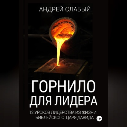 Горнило для лидера. 12 уроков лидерства из жизни библейского царя Давида