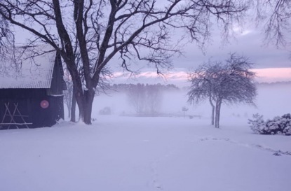 Тэффи. Рассказ "Нелегкая"