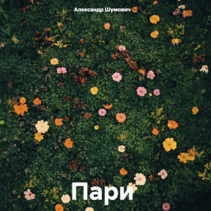 Аудиокнига «Пари», Александр Шумович