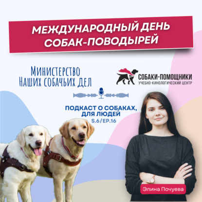 Международный день собак-поводырей