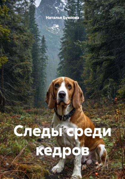 Следы среди кедров