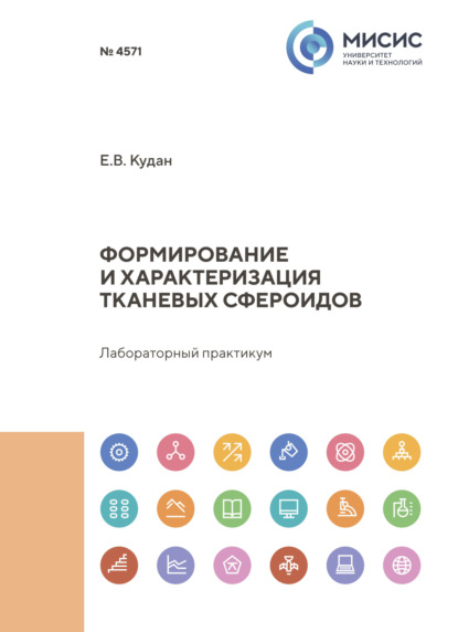 

Формирование и характеризация тканевых сфероидов