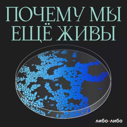 Тизер: интервью с медицинской редакторкой Дашей Гельфман