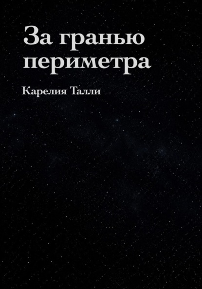 За гранью периметра