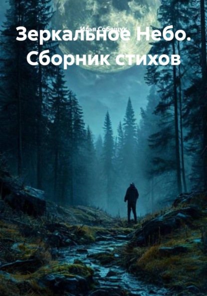 Зеркальное Небо. Сборник стихов