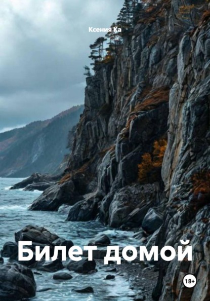 Билет домой