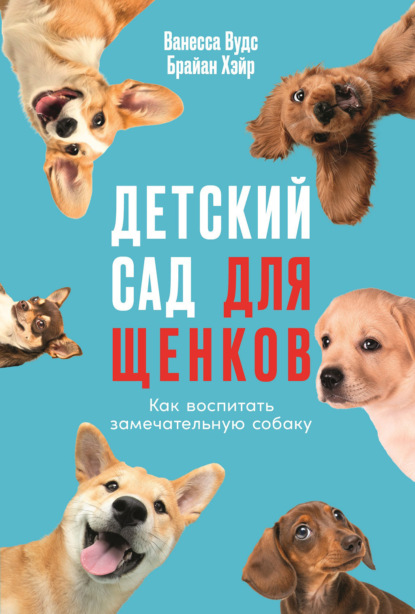 Детский сад для щенков: Как воспитать замечательную собаку