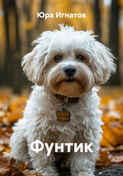 Фунтик