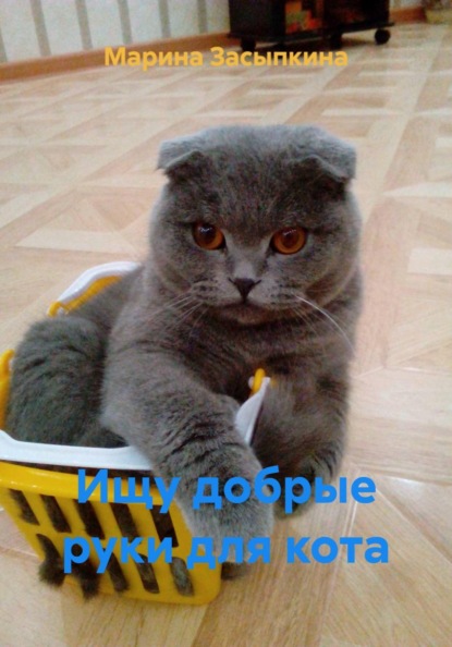 Ищу добрые руки для кота