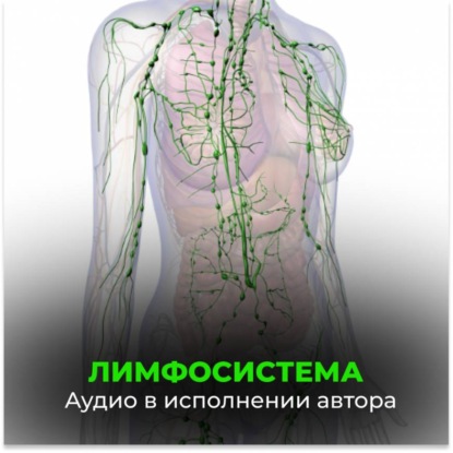 Аудиокнига «Лимфосистема», Георгий Сытин