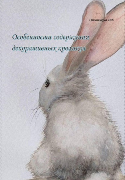 Особенности содержания декоративных кроликов