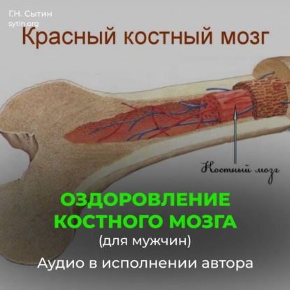 Аудиокнига «Оздоровление костного мозга для мужчин», Георгий Сытин