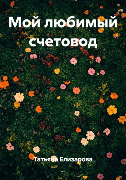 Мой любимый счетовод