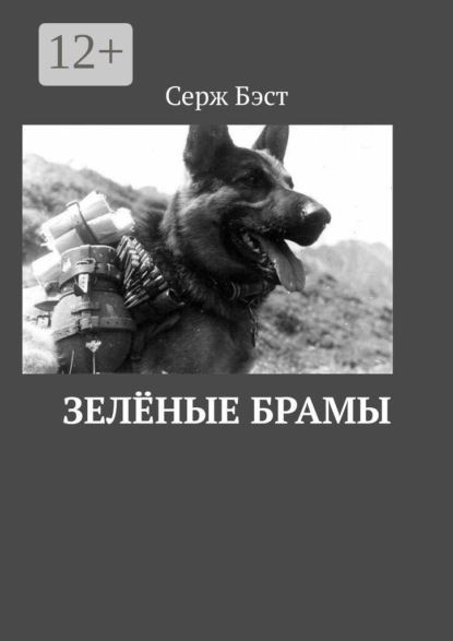Зелёные Брамы. Роман-хроника
