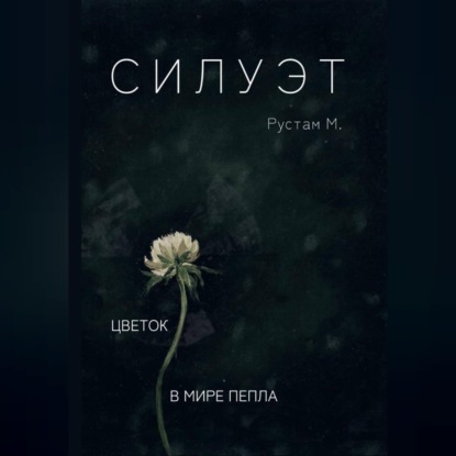 Аудиокнига «Силуэт», Рустам М.
