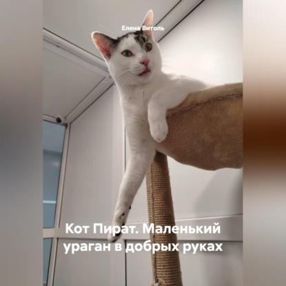 Аудиокнига «Кот Пират: Маленький ураган в добрых руках», Елена Витоль