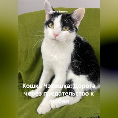 Кошка ЧэБэшка: Дорога через предательство к любви