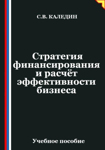 Стратегия финансирования и расчёт эффективности бизнеса