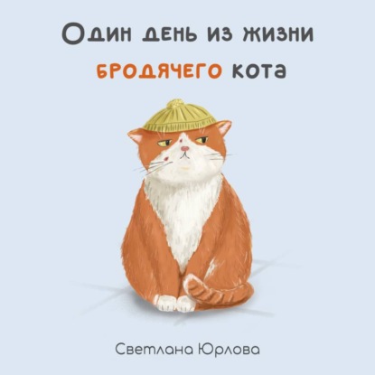 Один день из жизни бродячего кота