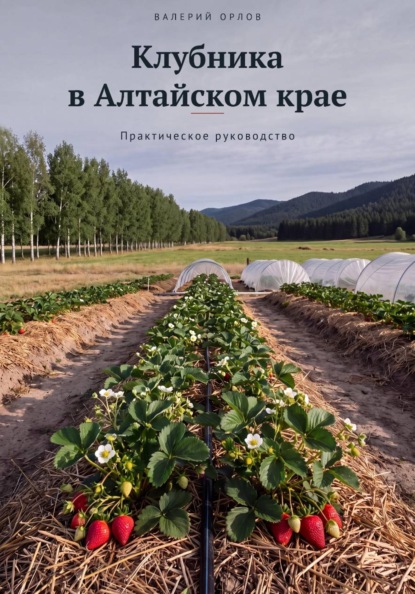 Клубника в Алтайском крае. Практическое руководство